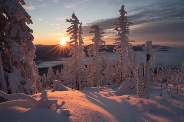 Winter Am Naturpark Naturpark Oberer Bayerischer Wald