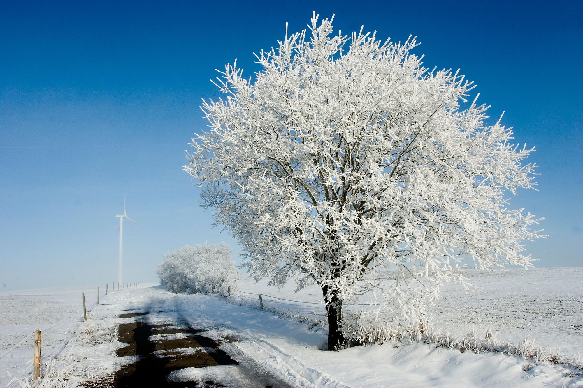 35++ Bild de bilder des tages , In der Winternacht Bild des Tages