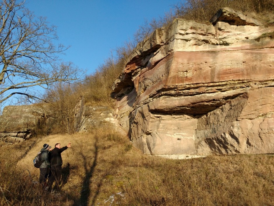 Praktikum Im Geo-Naturpark Saale-Unstrut-Triasland - Naturpark Saale ...