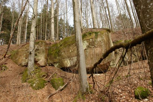 Naturpark aktiv 2023 - Stubensandstein und Käsekuchen - Naturpark ...